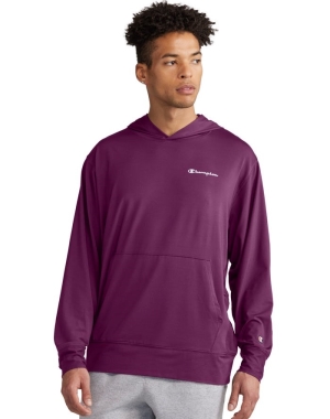 Champion City Sport Reflective Script Logo Hoodie Herr Lila | 5490628-LT