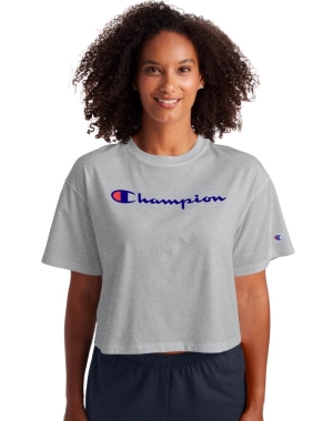 Champion Cropped Script Logo T-shirt Dam Grå | 7583641-DC