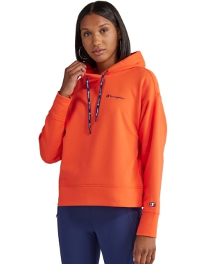 Champion Game Day Script Logo Hoodie Dam Orange | 5796428-FC