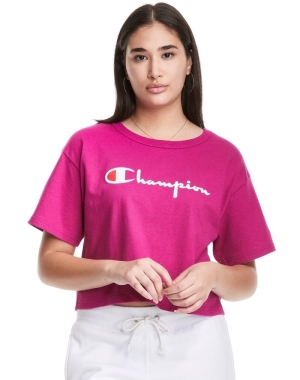 Champion Heritage Cropped Script Logo Blast Dam Rosa | 1574620-DQ