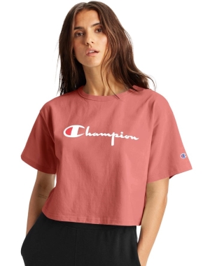 Champion Heritage Cropped Script Logo Blast Dam Korall | 2603587-SQ