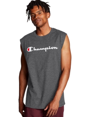 Champion Klassiska Jersey Script Logo T-shirt Herr Mörkgrå | 1654092-RU