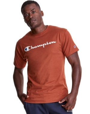 Champion Klassiska Jersey Script Logo T-shirt Herr Bruna | 3108625-CF