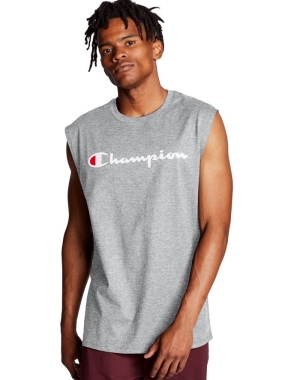 Champion Klassiska Jersey Script Logo T-shirt Herr Grå | 6231570-CO