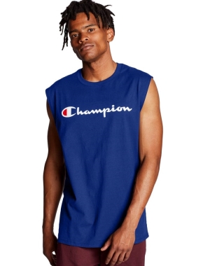 Champion Klassiska Jersey Script Logo T-shirt Herr Blå | 6734825-YG