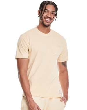 Champion Natural State T-shirt Herr Grädde | 7194283-SY