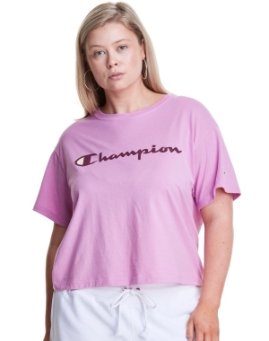 Champion Plus Cropped Script C Logo T-shirt Dam Rosa | 2895631-GH