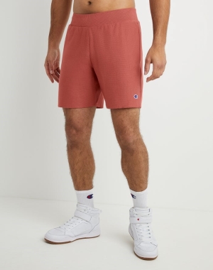 Champion Reverse Weave Cut-Off Shorts Herr Korall | 7265894-AW