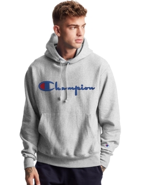 Champion Reverse Weave Vintage Script Logo Hoodie Herr Grå | 4507638-YC