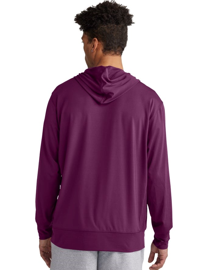 Champion City Sport Reflective Script Logo Hoodie Herr Lila | 5490628-LT