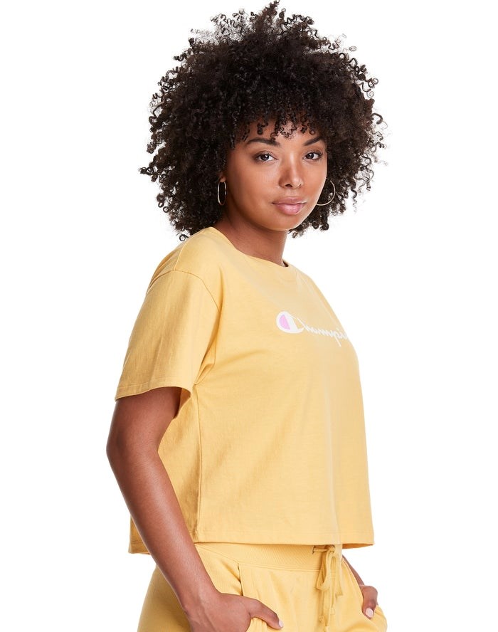 Champion Cropped Script Logo T-shirt Dam Gula | 2389157-GK