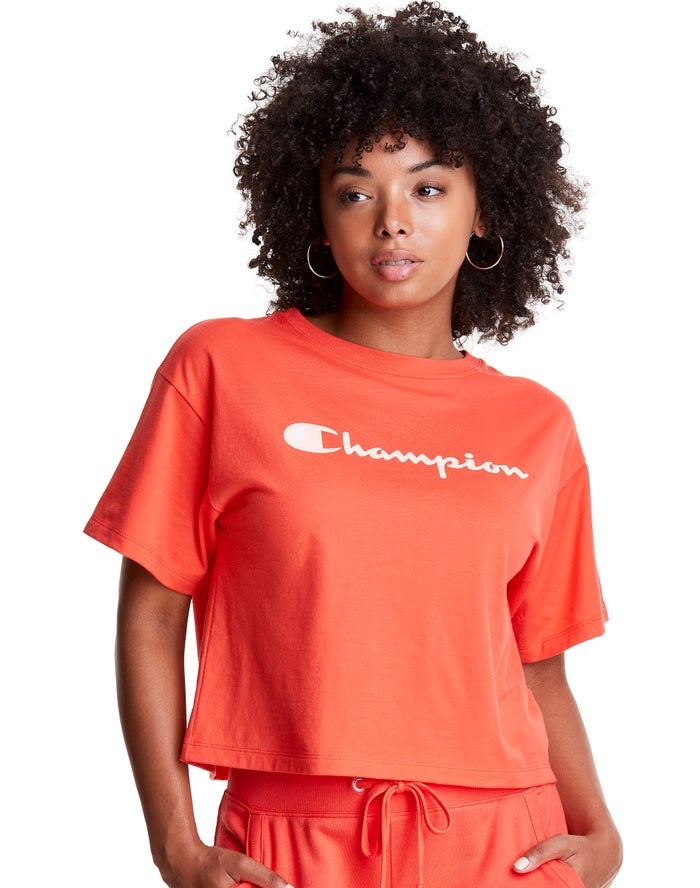 Champion Cropped Script Logo T-shirt Dam Orange | 6023418-AH