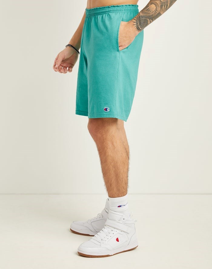 Champion Klassiska Bomull Jersey Shorts Herr Turkos | 8204793-WO