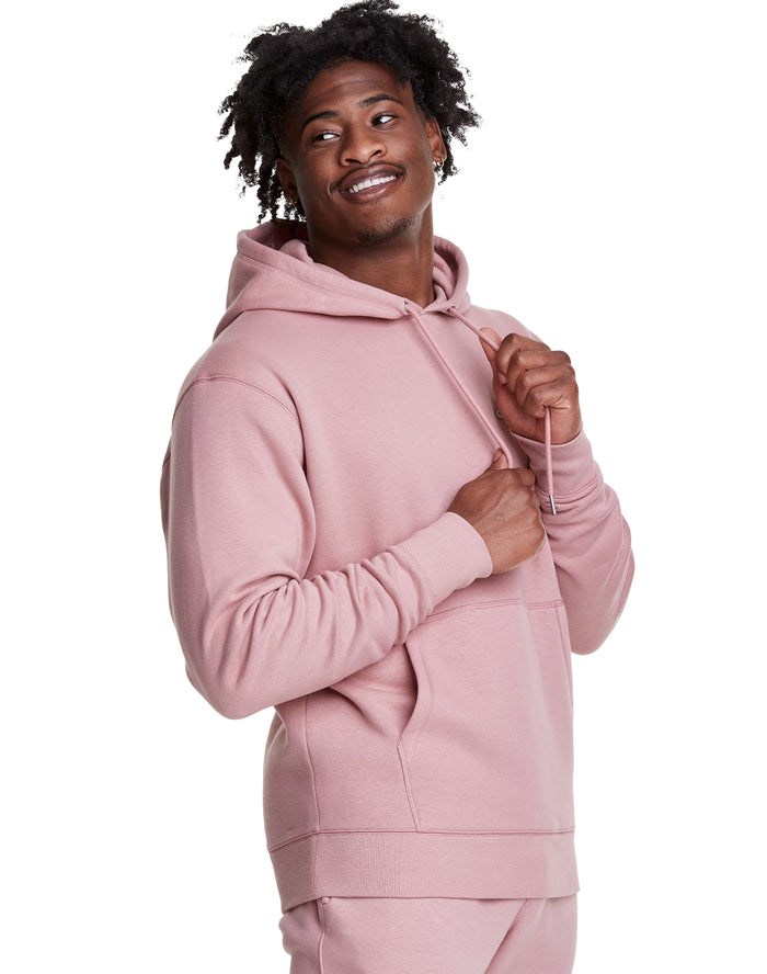 Champion Klassiska Fleece Embroidered Applique Logo Hoodie Herr Beige | 3601954-ZA