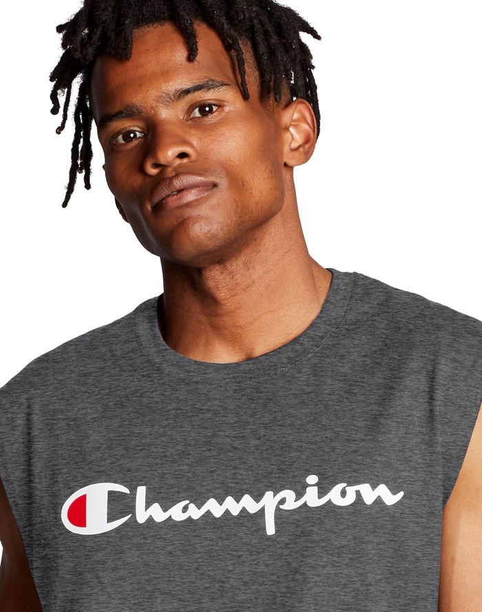 Champion Klassiska Jersey Script Logo T-shirt Herr Mörkgrå | 1654092-RU