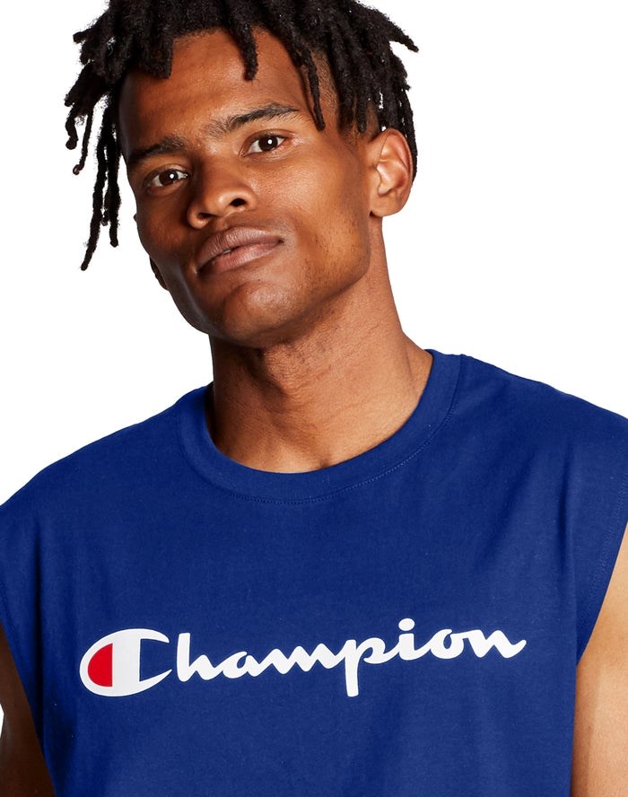 Champion Klassiska Jersey Script Logo T-shirt Herr Blå | 6734825-YG