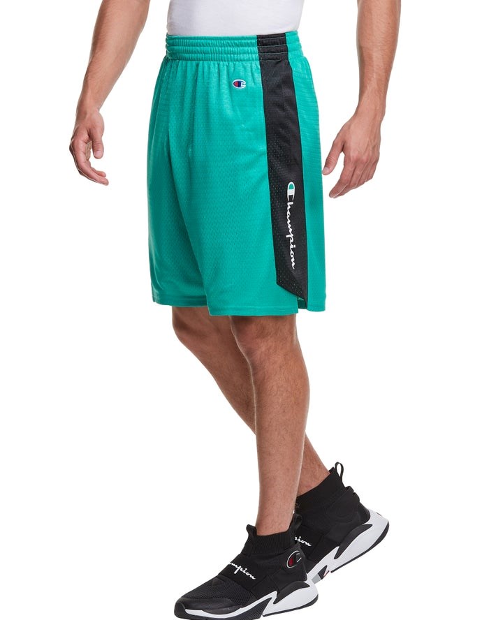 Champion Mesh Basketball Shorts Herr Turkos | 9265170-KI