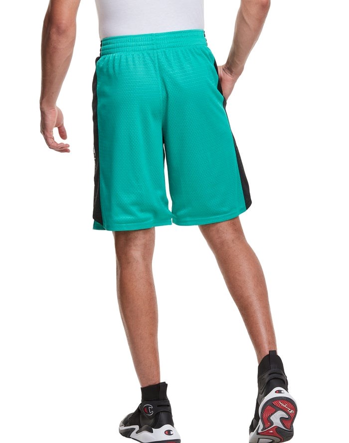 Champion Mesh Basketball Shorts Herr Turkos | 9265170-KI