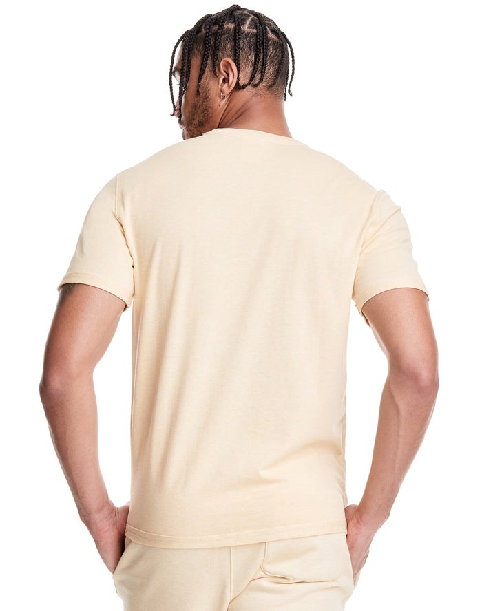 Champion Natural State T-shirt Herr Grädde | 7194283-SY