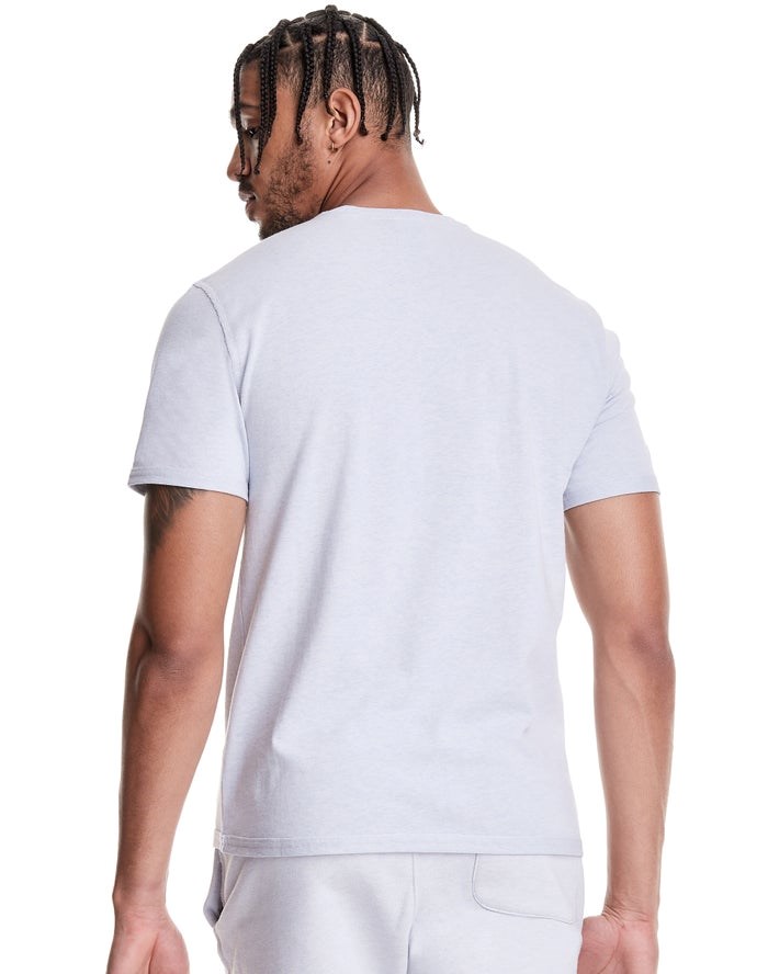 Champion Natural State T-shirt Herr Grå | 8063712-GU