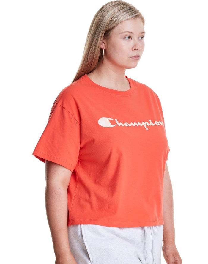 Champion Plus Cropped Script C Logo T-shirt Dam Orange | 6805942-GW