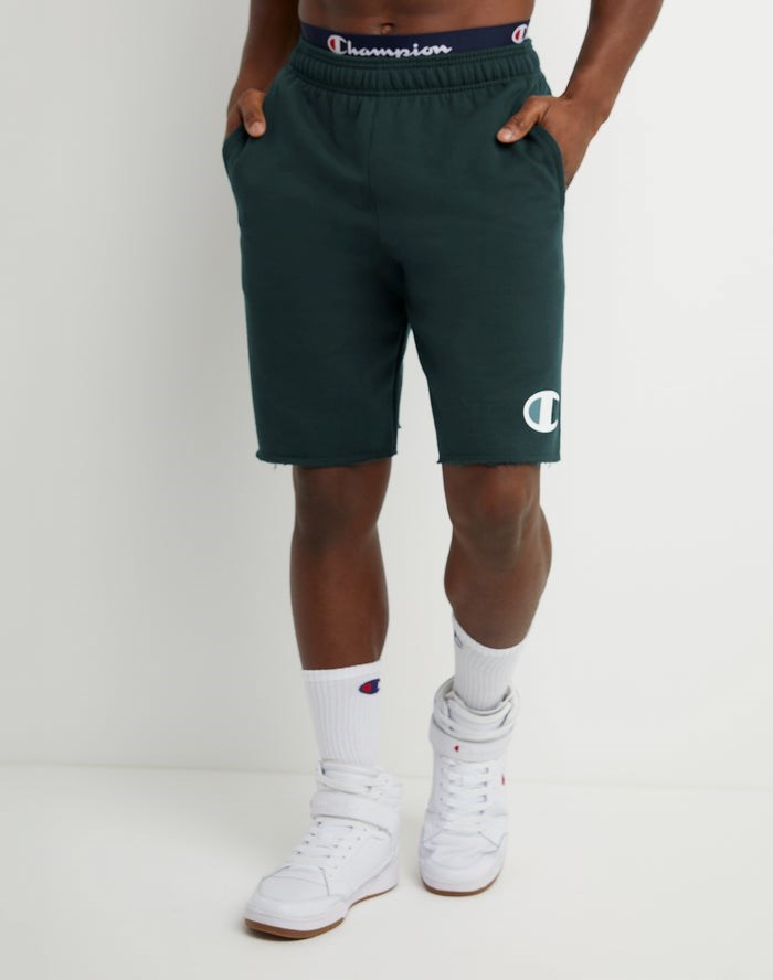 Champion Powerblend Fleece C Logo Shorts Herr Mörkgröna | 9135042-NQ