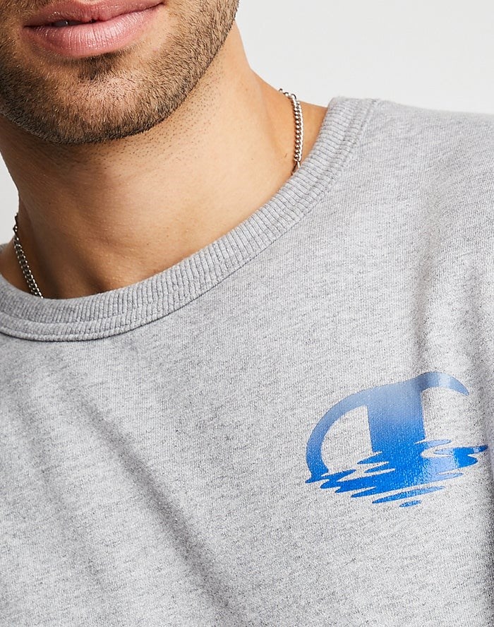 Champion Powerblend Fleece Crew Ripple Effect Graphics Tröjor Herr Grå | 9735604-KQ