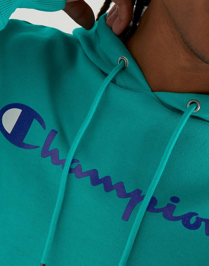 Champion Powerblend Fleece Script Logo Hoodie Herr Gröna | 4219603-LJ