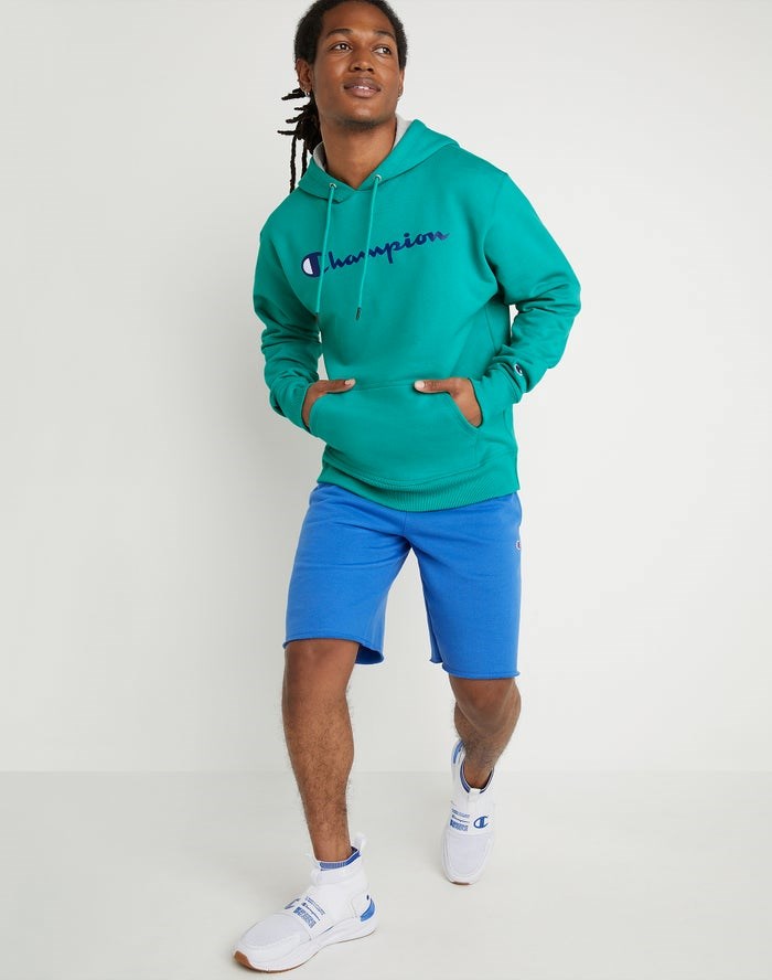 Champion Powerblend Fleece Script Logo Hoodie Herr Gröna | 4219603-LJ