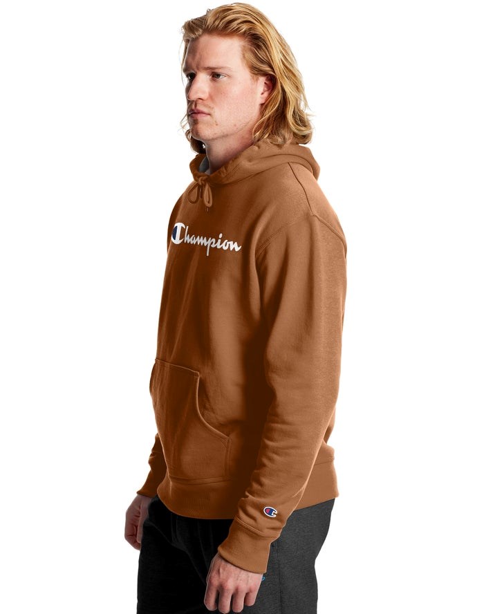 Champion Powerblend Fleece Script Logo Hoodie Herr Bruna | 4681027-CG